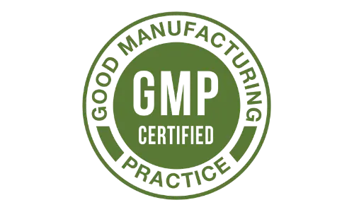 gmp-manufacturing